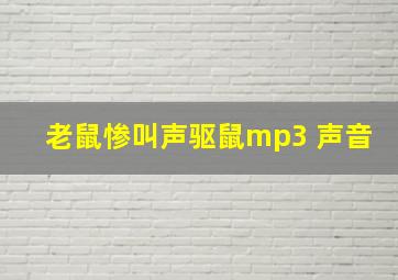 老鼠惨叫声驱鼠mp3 声音